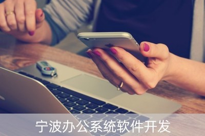 寧波辦公系統(tǒng)軟件開發(fā)及其市場前景